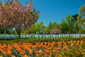 Arlington National Cemetery