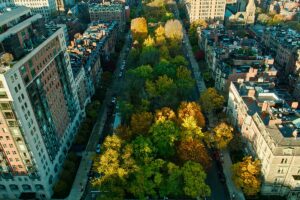 Walk through the trees in Commonwealth Avenue Mall