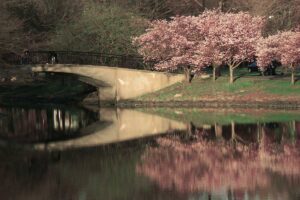 Enjoy river views at The Esplanade