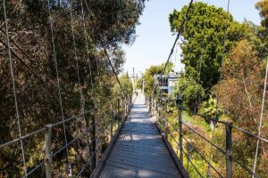 Walk across the iconic Spruce Street Suspension Bridge