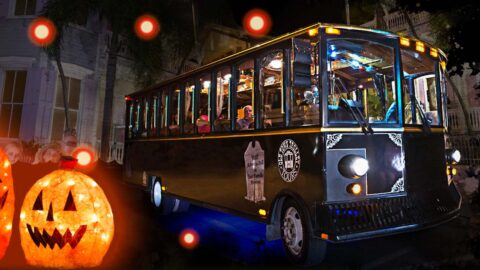 Ghosts & Gravestones Sights and Lights Halloween Tour