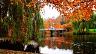 Things To Do In The Fall - Boston Public Garden in the fall