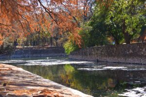 San Antonio Brackenridge Park