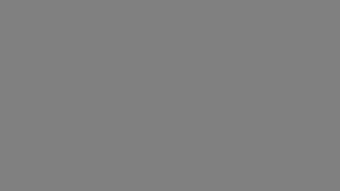 gray placeholder box