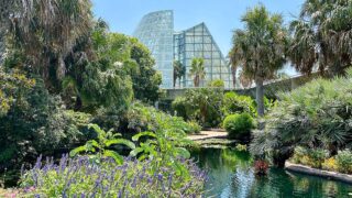 San Antonio Botanical Garden