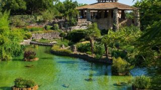 Japanese Tea Garden - San Antonio Japanese Tea Garden