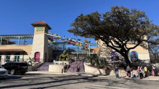 Ultimate Guide to San Antonio's Japanese Tea Garden