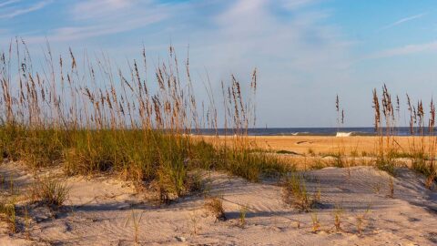 Anastasia State Park