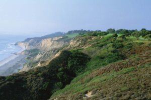 Torrey Pines Reserve