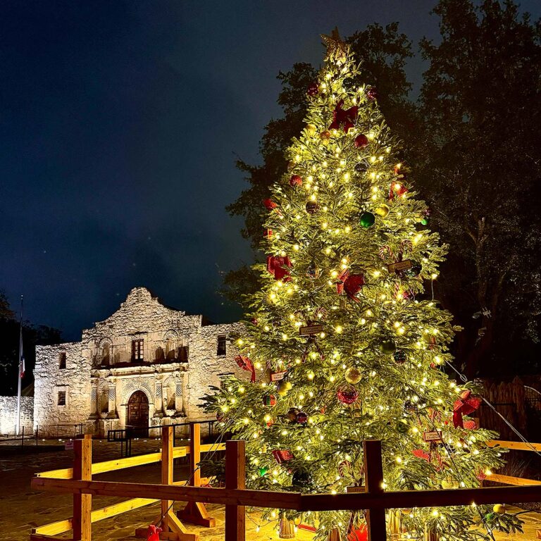 Alamo and Christmas tree