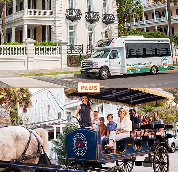 Charleston city tour and daytime carriage tour