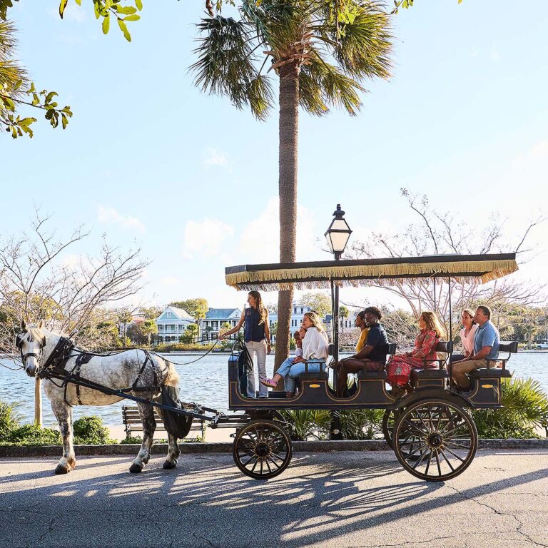 guests riding on a carriage in Charleston