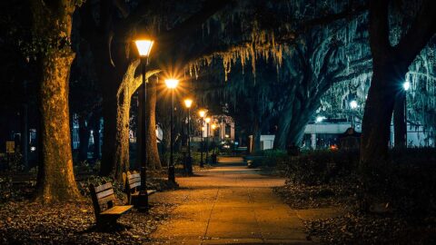 Savannah at night