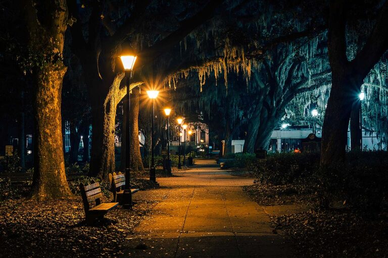 Savannah at night