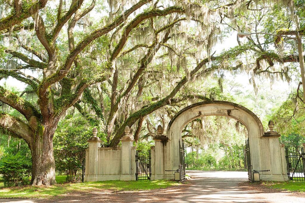 Wormsloe Historic Site in Savannah, showcasing its iconic oak trees and historic ruins