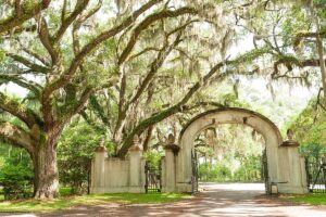 Wormsloe Historic Site in Savannah, showcasing its iconic oak trees and historic ruins