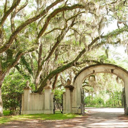 Wormsloe Historic Site in Savannah, showcasing its iconic oak trees and historic ruins