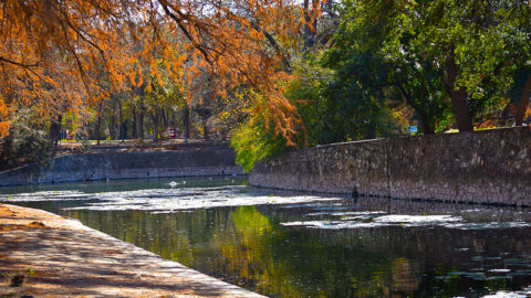 Brackenridge Park San Antonio