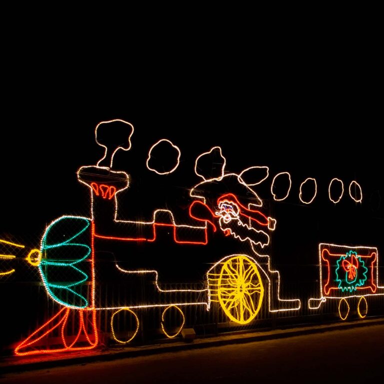 Charleston holiday lights display