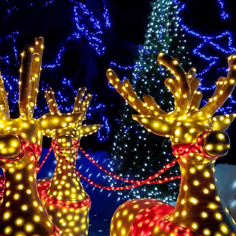 Charleston holiday lights display