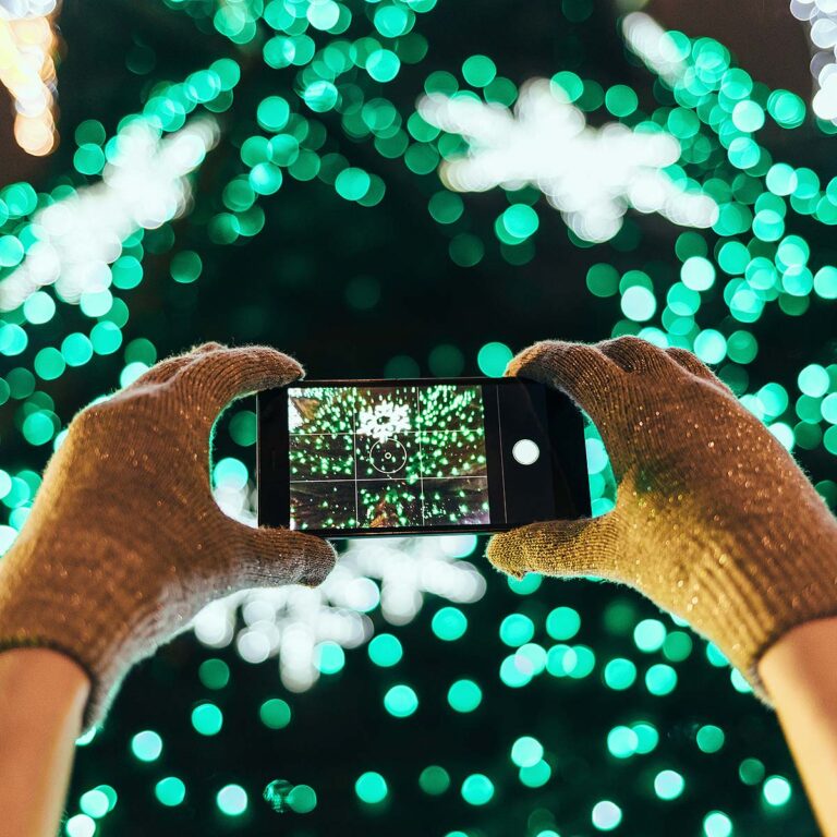 Charleston holiday lights display