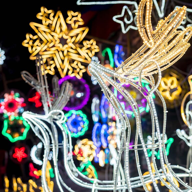 Charleston holiday lights display