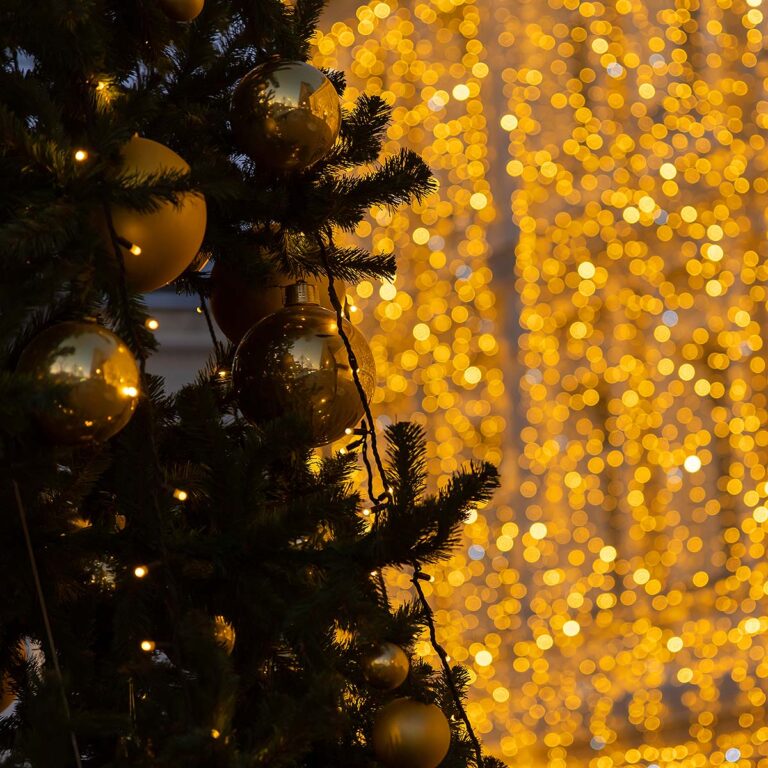 Charleston holiday lights display