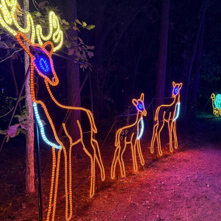 Charleston holiday lights display