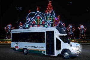 Charleston holiday tour vehicle and holiday lights