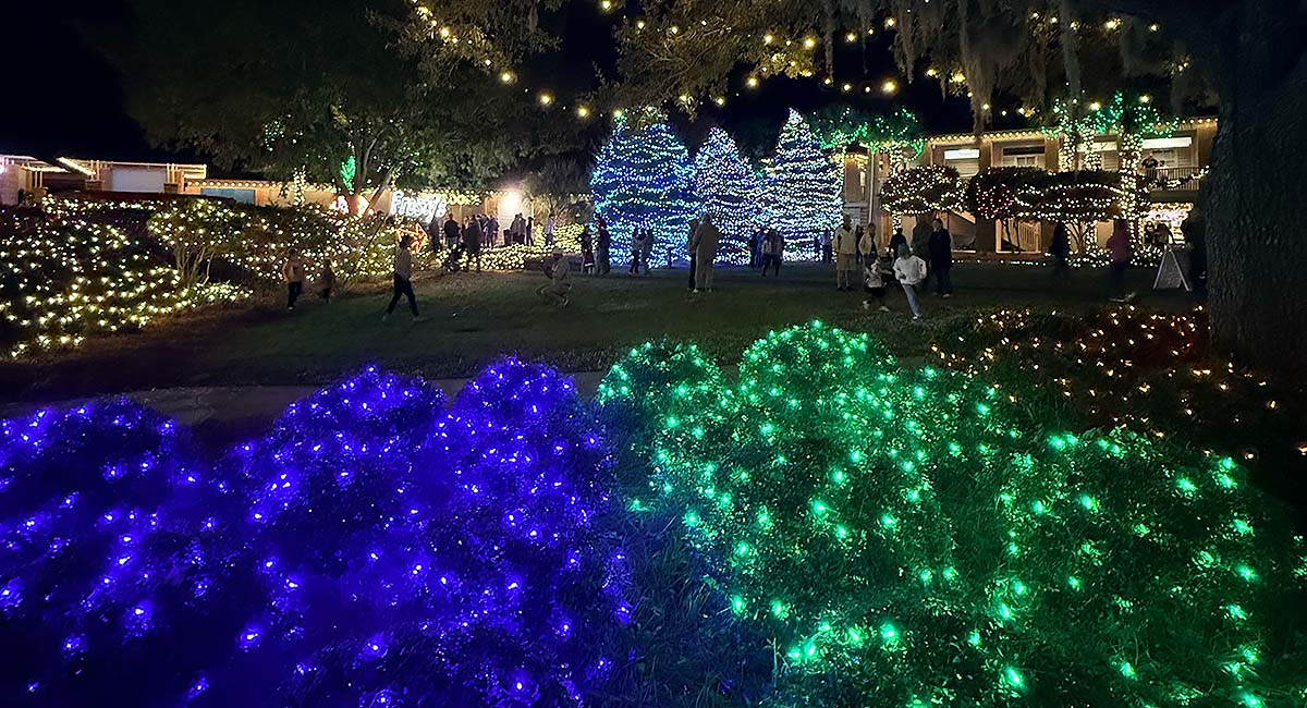 Savannah festival of lights display