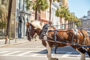 Charleston Carriage Tour of the Historic District