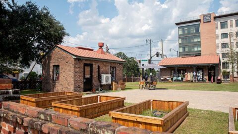 Trustees Garden in Savannah