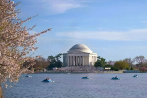 Tidal Basin by Paddle Boat