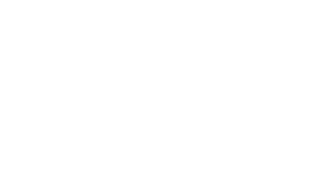 Savannah Pirates and Treasure Museum logo