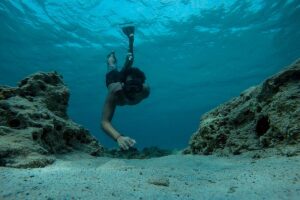 Snorkel Adventure at St. Augustine Aquarium