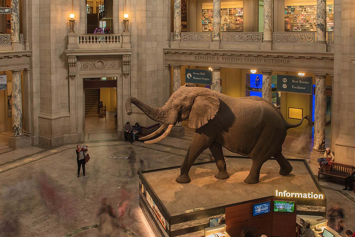 Visitors Guide for the Smithsonian Museum of Natural History