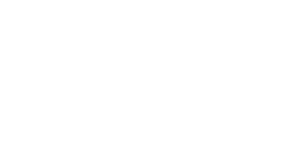 Ultimate Guide to Boston Common