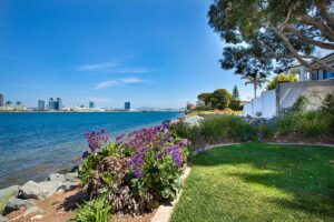 Coronado Island nature