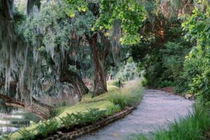 Magnolia Plantation gardens and walkway