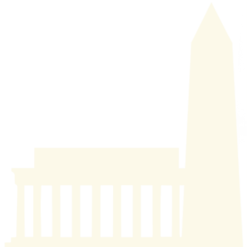 Icon custom section