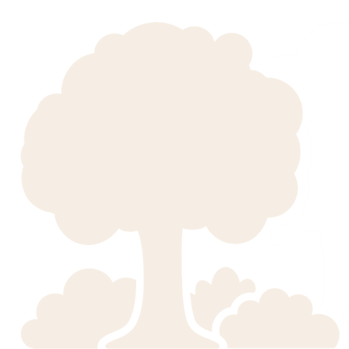 Icon custom section