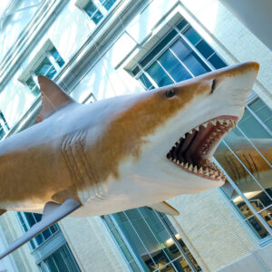 Smithsonian National Museum of Natural History