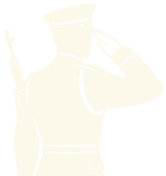 Icon custom section